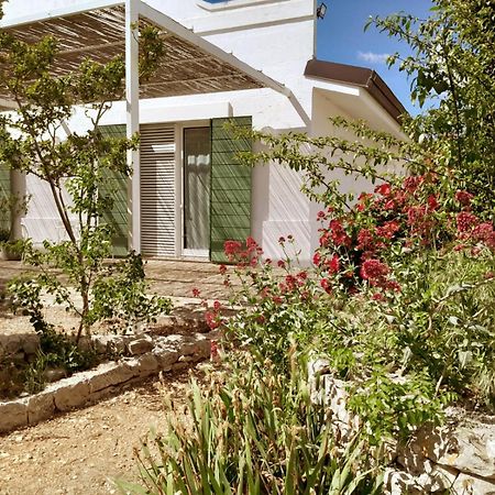 Agriturismo La Civetta Gioia Del Colle Dış mekan fotoğraf