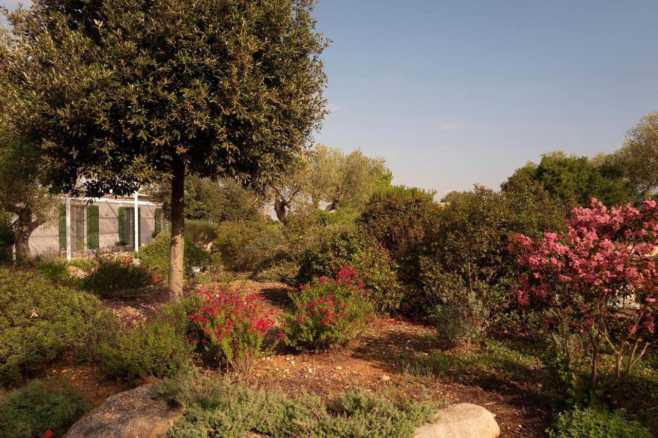 Agriturismo La Civetta Gioia Del Colle Dış mekan fotoğraf